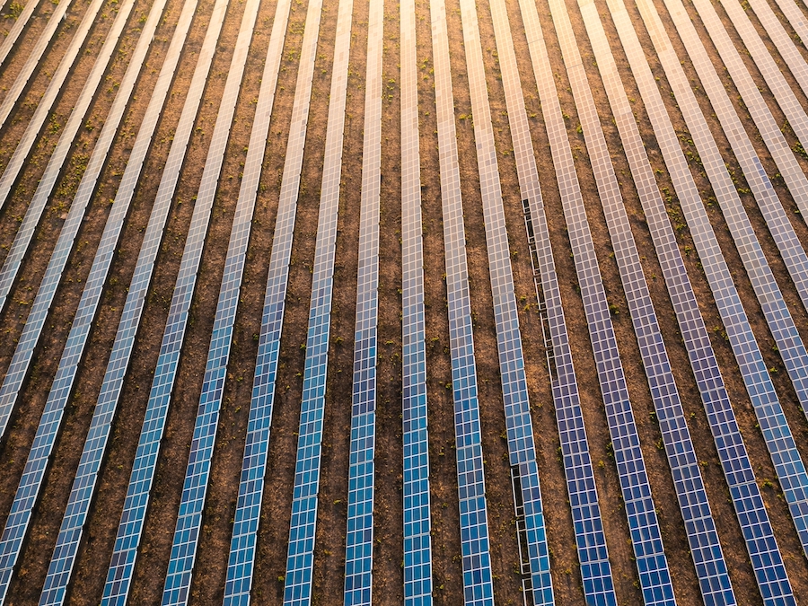 Solar panels in a vertical array